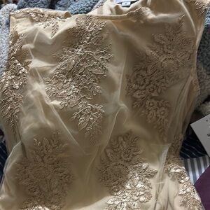 Elegant Cream Lace Dress